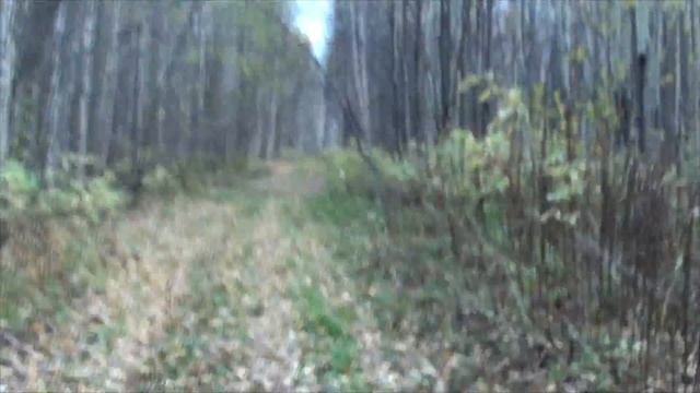 Поход в д. Зыкино, 31км и 31кг за 31час смотреть онлайн