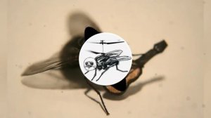 А муха тоже вертолет (trap remix)