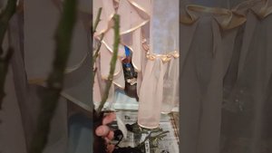 Саженцы от Марии Харченко, питомник MaryRoses