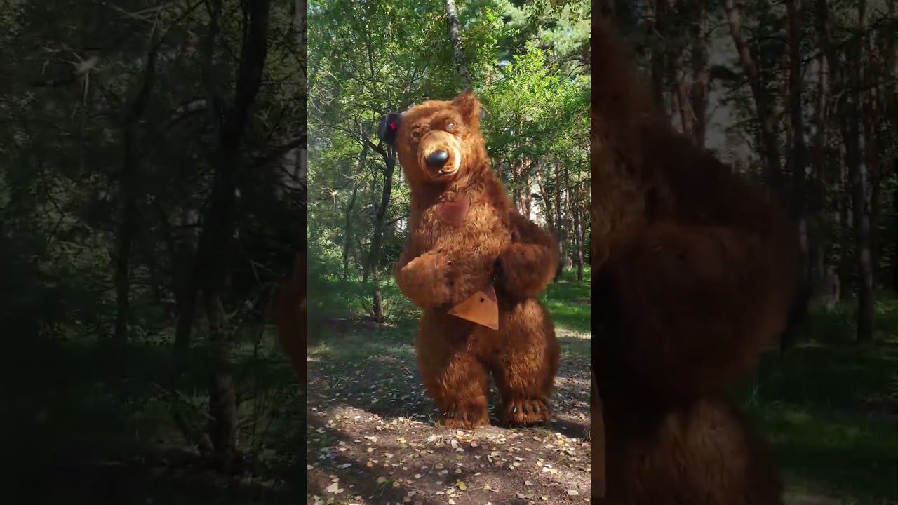 Бурый мишка в лесу играет на балалайке #бурыймишка  #белыймишка #воронежскиймишка #shorts