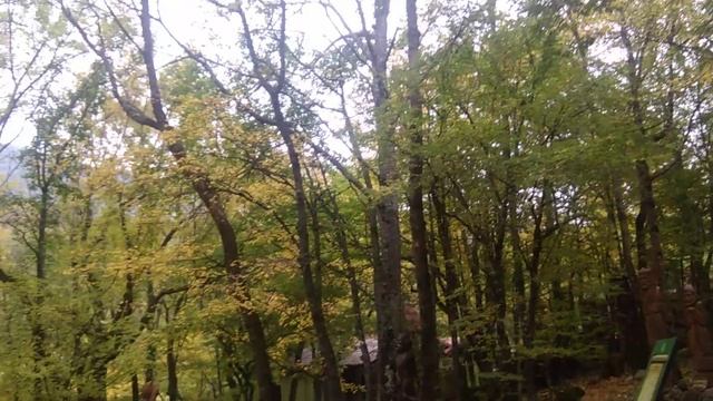 Поляна сказок с Ириной Кизим. Ялта . "Поляна сказок " смотреть онлайн