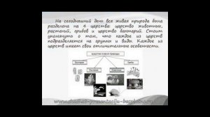 Презентация на тему Окружающий мир (3 класс)