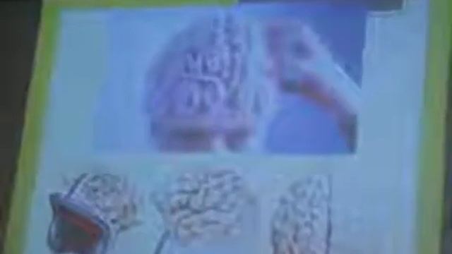 Стресс как основа развития. Часть 2. Александр Ефременко. смотреть онлайн