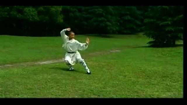 Shaolin LuoHan Quan смотреть онлайн