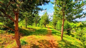 Киров / природа