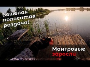 Рыбалка двух производителей. Умопомрачительный клев с "Навахо "Мормышка" NA43-664MF-S