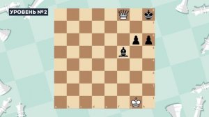 Ничья, пат. Отличие пата от мата. Варианты ничьей. Школа шахмат Mano Chess