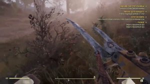 Fallout 76: Карта Лесных Сокровищ #8 найти сокровища