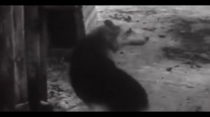 НЕ ПОКУПАЙТЕ МОТОБЛОК МБ-1!