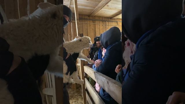 Добровольцы РТУ МИРЭА отправились в зимнюю экспедицию в Селижарово