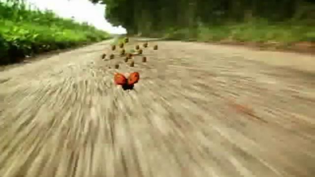 Проказы Божьей Коровки 4 смотреть онлайн