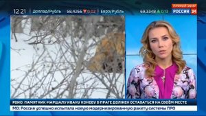 Екатерина Григорова 24.11.2017 12-20