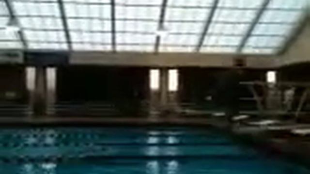 Cort Gipson Great Dive смотреть онлайн