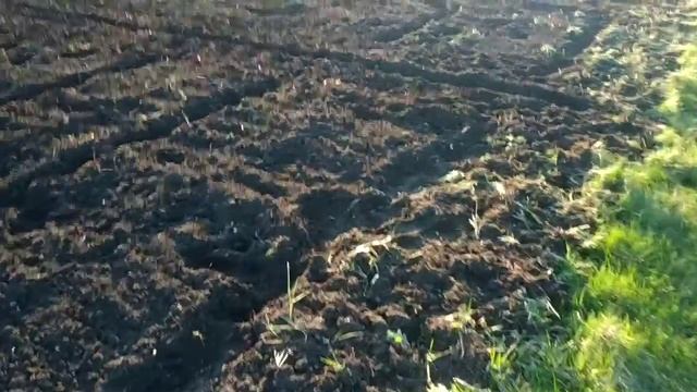 2 ЧАСТЬ. РАСШИРЕНИЕ ТЕРРИТОРИИ НА СКОЛЬКО ПРИБАВИЛАСЬ ПЛОЩАДЬ ПЛОДОРОДНОЙ ЗЕМЛИ
