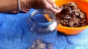 МАРИНОВАННЫЕ МАСЛЯТА | НА ЗИМУ | РЕЦЕПТ |