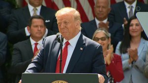 Избирателям в США придется выбирать между Трампом и Байденом
