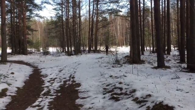 Немного автомобильной тематики!Выехали на природу.