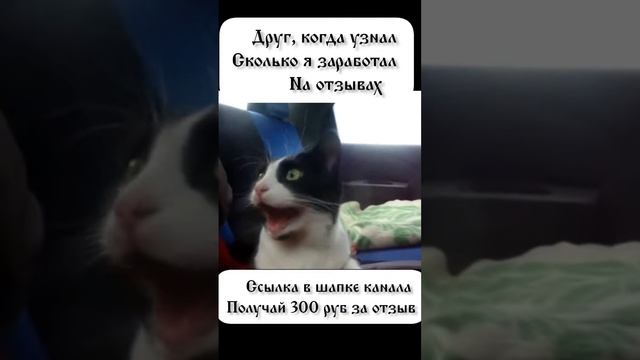 Заработок в интернете без вложений #схема_заработка #заработок #мем #деньги смотреть онлайн