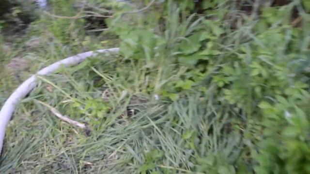 Река Старица деревня Зерцалы смотреть онлайн