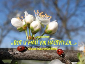 Видеосборник «Вот и май уж наступил»
