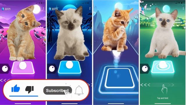 CUTE KITTY CATS  TilesHop