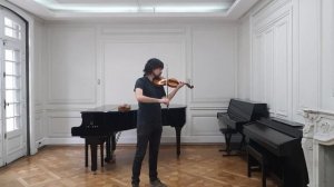 Violin Amadeus Strad