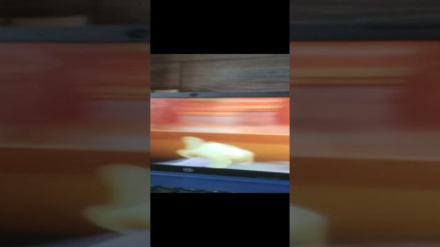 реакция на мультик цифровой цирк смотреть онлайн