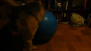 Ганька и огромный мяч 1