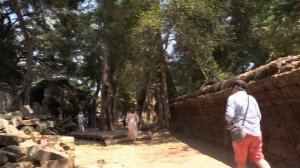 ХРАМ ТА ПРОМ – ХРАМ АНДЖЕЛИНЫ ДЖОЛИ (Angelina Jolie. The Ta Prohm Тemple. Angkor. Cambodia) (2)