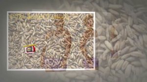 Amazing Benefits Of Cumin (Jeera) | Easy method to reduce your fat | Health Tips | Top Kannada TV