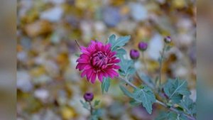 Кисловодск в ноябре