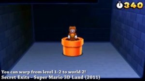 Super Mario 3D Land - All Secrets & Easter Eggs