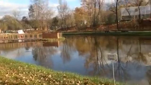 "Хитрые грибы" в парке смотреть онлайн