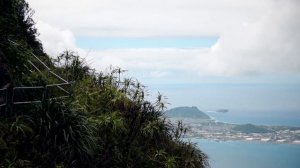 Парень ПРОПАЛ в джунглях, оставив жуткое фото. Загадочное исчезновение Дайленна Пуа