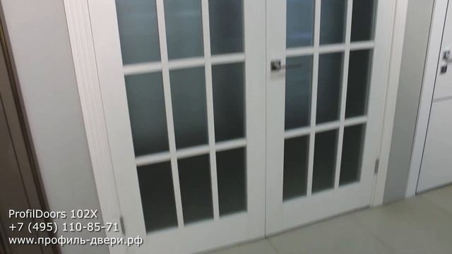 Двустворчатая дверь Профиль Дорс 102X, ProfilDoors102X смотреть онлайн