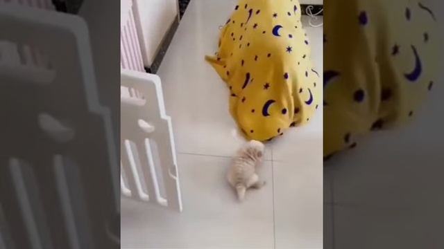 Съел и забыл!.