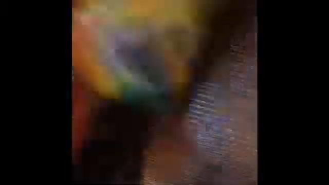 Мои покупки+мои альбомы наклеек смотреть онлайн