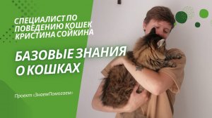 Специалист по поведению кошек Кристина Сойкина: Базовые знания о кошках