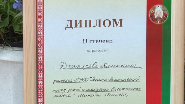 В Солигорске детей обучают флористике смотреть онлайн