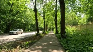 Водитель свадебного кортежа отвез инвалида-десантника на кладбище к матери, а когда опоздал в ЗАГС