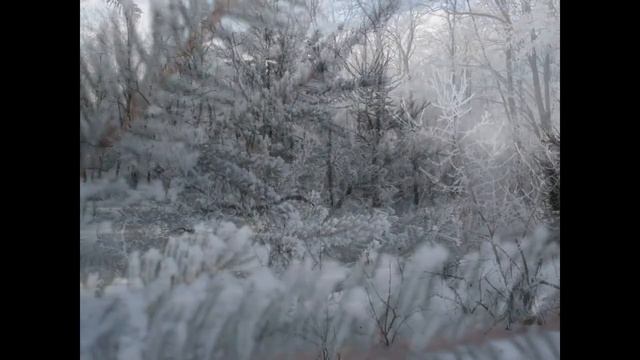 Зима обычную деревню превращает в  Чудесную деревню