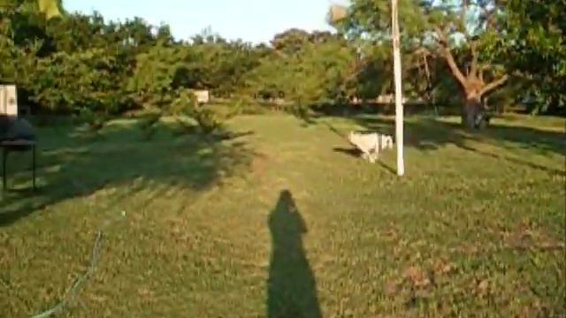 sweet home alabama by casey смотреть онлайн