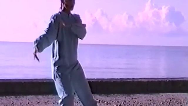 ТАЙ ЦЗЫ НА МОРЕ 1996г смотреть онлайн