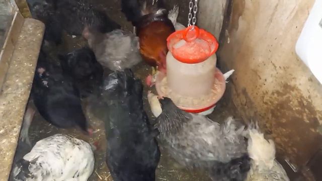 ПОМОЖЕМ ВМЕСТЕ.