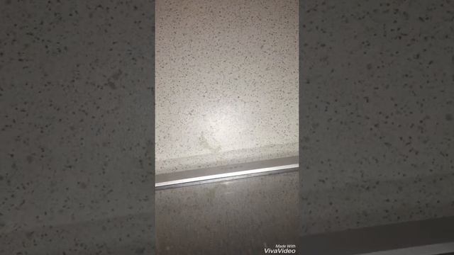 Делаем слайм из книги Стаси Мар // Мисс Даша смотреть онлайн