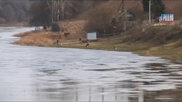 Запрет на лов рыбы смотреть онлайн