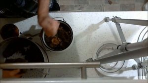 Как засолить грибы рыжики. Рыжики холодный способ заготовки.