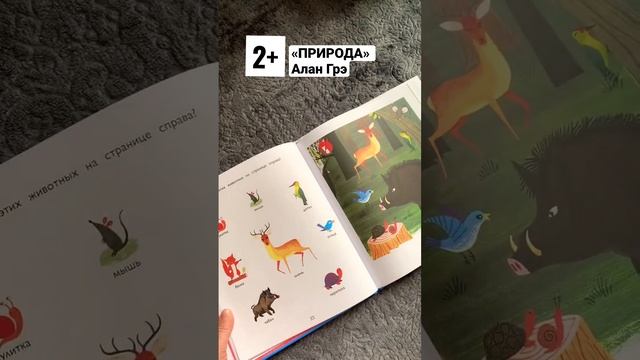 Обзор «Природа» изд. Махаон #книгидлямалышей #книги2+ #обзорыдетскихкниг #детскиекниги