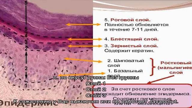 Венгерская ватрушка с творогом, сметаной и ванильным сахаром смотреть онлайн