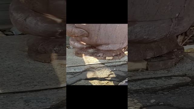 Возле мишки смотреть онлайн